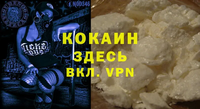 Cocaine VHQ  где найти наркотики  Курган 