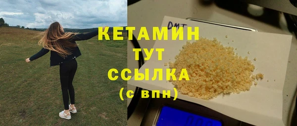 шишки Лабытнанги