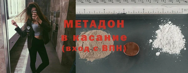 шишки Лабытнанги