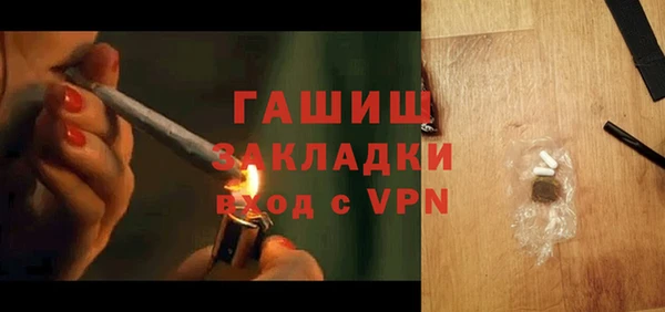 шишки Лабытнанги