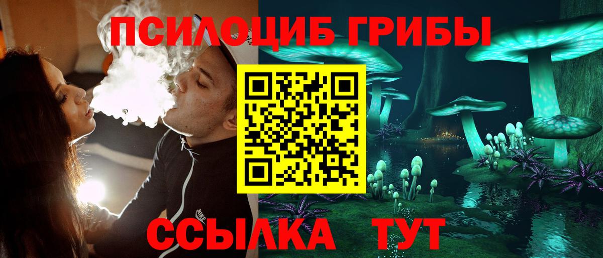 Псилоцибиновые грибы MAGIC MUSHROOMS  Вход с VPN  Курган  Псилоцибиновые грибы MAGIC MUSHROOMS 