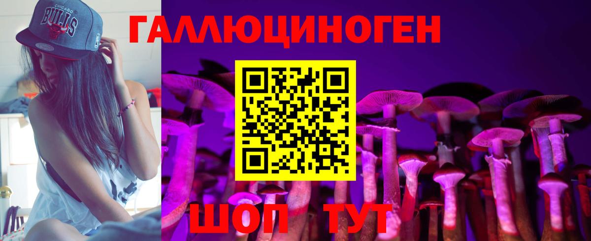 наркошоп  Курган  Псилоцибиновые грибы Magic Shrooms 